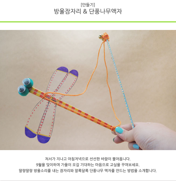 나무잠자리 이미지