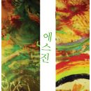 에스진 이미지