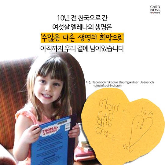 보물천국 이미지