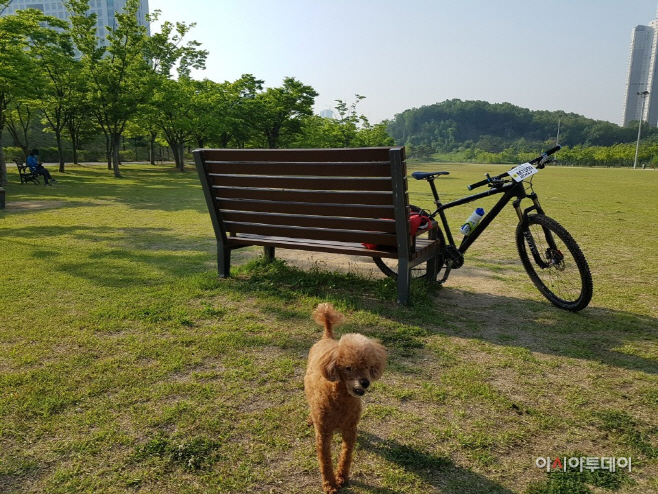 장기공원 이미지