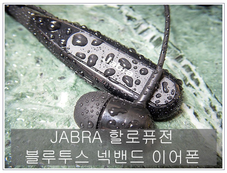 (주)지디스 이미지