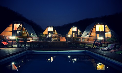 세모난나무 이미지