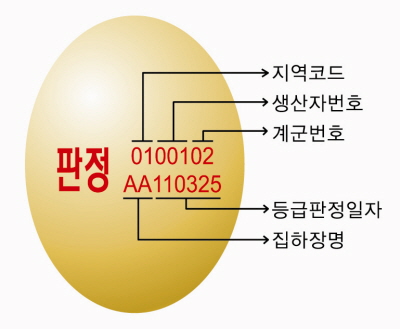 좋은계란 이미지