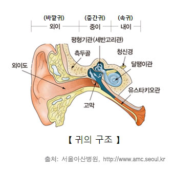 티엠시 이미지