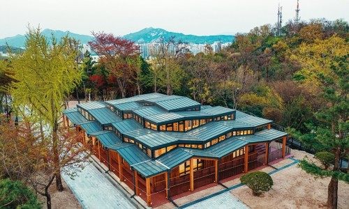 오동유리 이미지