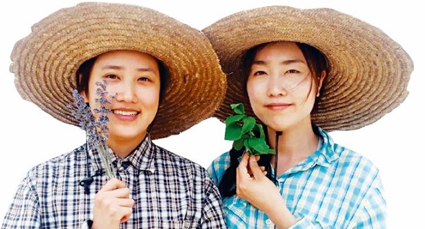 선영농장 이미지