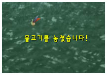와우낚시 이미지