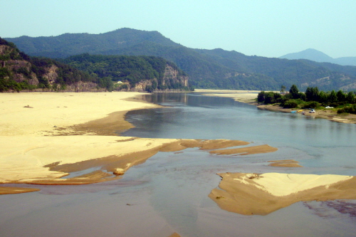 강변살자 이미지