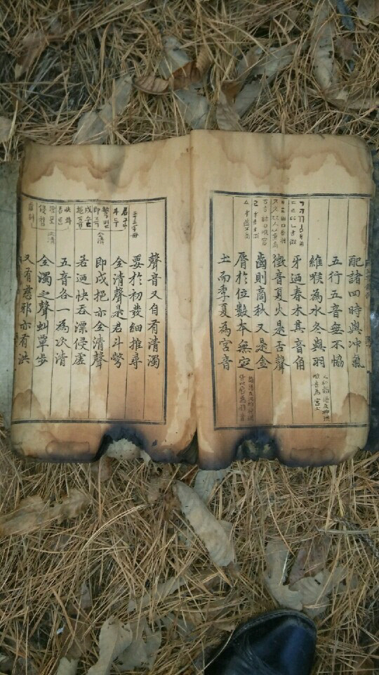 송사진실 이미지