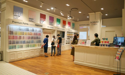 스타페인트 이미지
