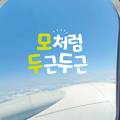 신우여행사 이미지