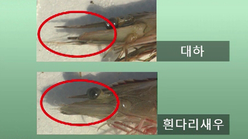 대하반점 이미지