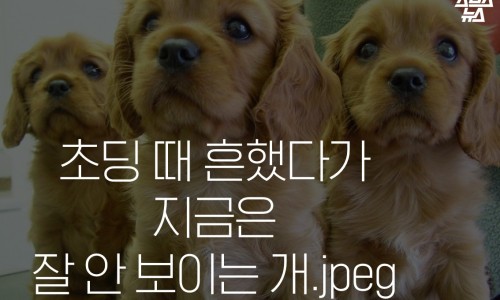 지금 이미지