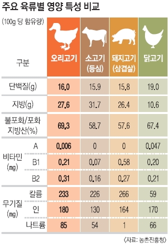 오리보감 이미지