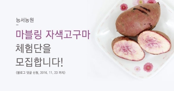 여주능서농원 이미지