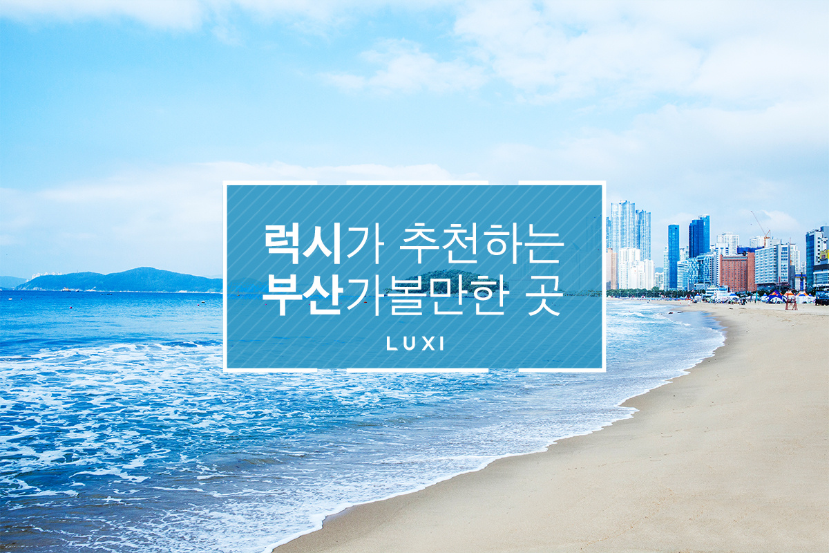 럭시 이미지