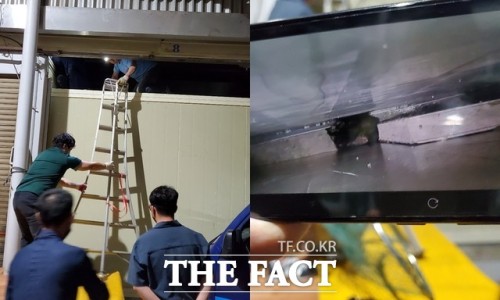 작전시장생선 이미지