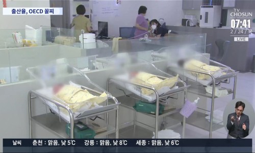 국제꿀꽈배기 이미지