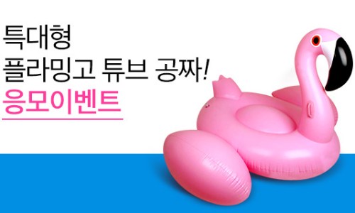 플라밍고 이미지