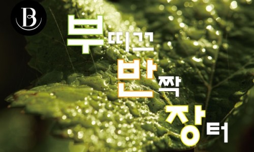 부띠끄셀라 이미지