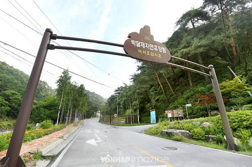 박달재자연휴양림야영장 이미지