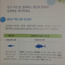 참치와사비 이미지