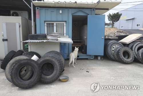 청원타이어 이미지