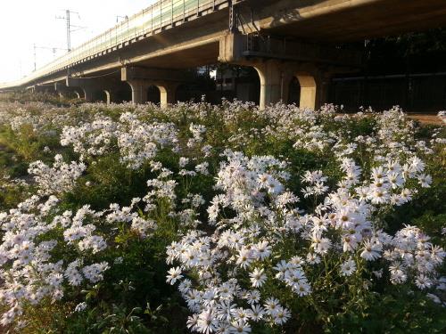 (주)도시와 숲 이미지