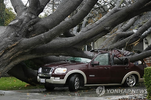 (주)거목시스템 이미지