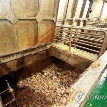 대우축산 이미지
