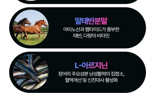 코끼리식품 이미지