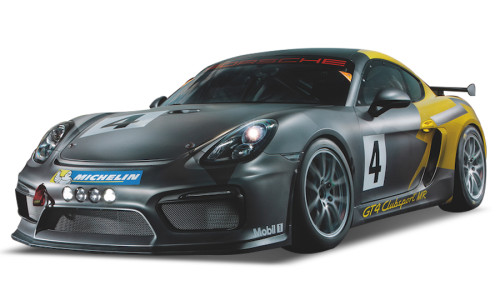 위클리 리포트 (8월 2주),
화제의 신차를 한 눈에