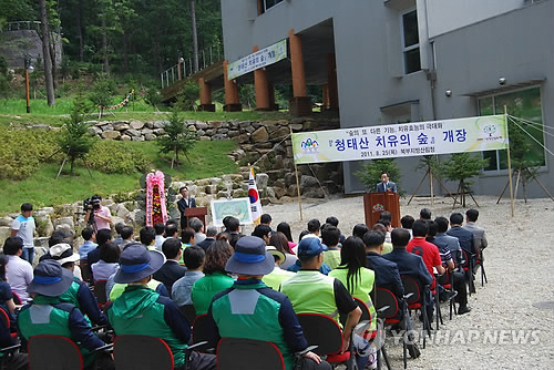 청태산 치유의 숲 이미지
