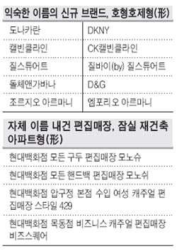 서연어패럴 이미지