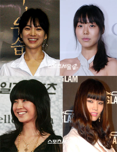 스타헤어 이미지