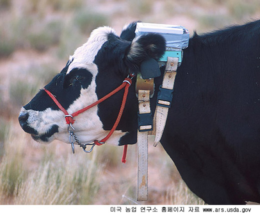 초원개발 이미지
