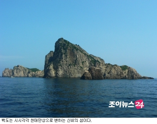펫시즌 이미지