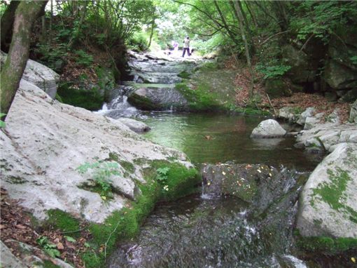 보석관광(주) 이미지
