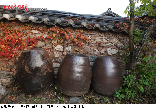 장금이의 주방 이미지