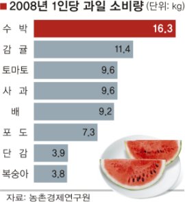 사람과일 이미지