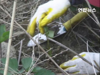 월봉식물원 이미지