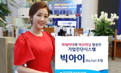 우리기업진단 이미지