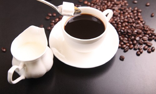 커피트리(COFFEE TREE) 이미지