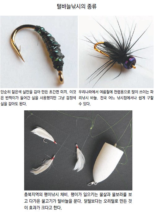 낚시세계 이미지