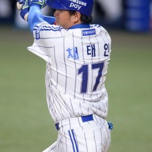 채태 이미지