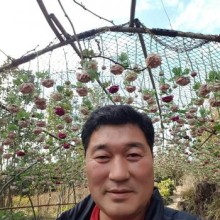 돈선장 이미지