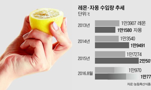 사우어(SOUR) 이미지