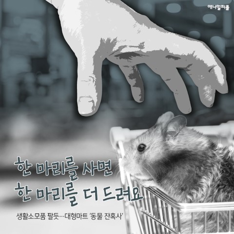 화마트 이미지