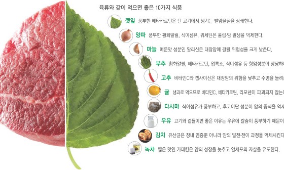 고기사랑 이미지