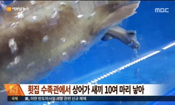 마리횟집 이미지